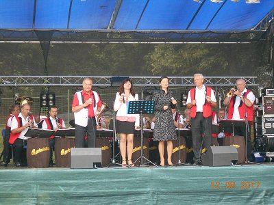 Chotoviny