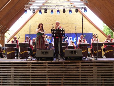 Borovany