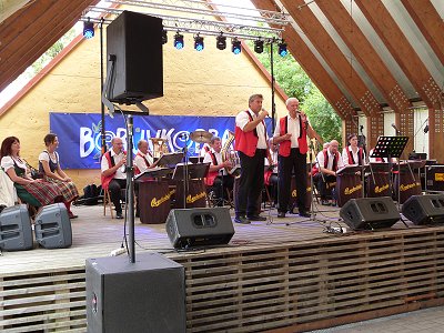 Borovany