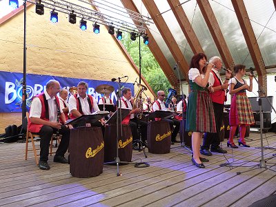 Borovany